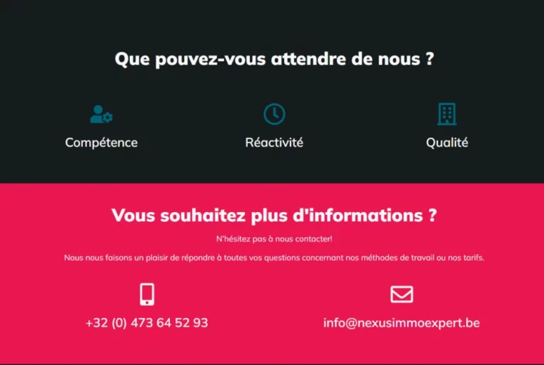 Nexus Immo Expert Site Web
